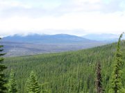 Summer '06 Sunriver 519 